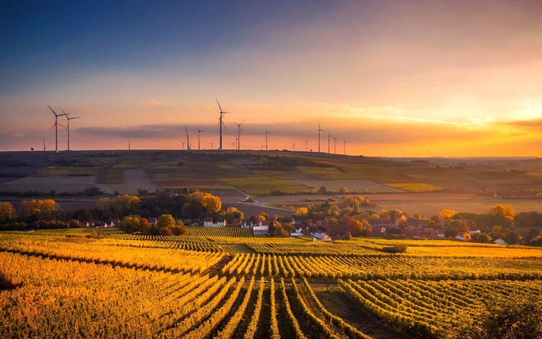 How to Build Sustainability into Your Import/Export Business